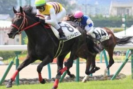 【競馬】モリトユウブ騎乗の北村宏司騎手が落馬 11/25まとめのカテゴリ一覧まとめまとめについて関連サイト一覧