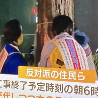 【悲報】東京 神田警察通り、住民がイチョウの木にしがみつき抗議！「でもこのイチョウ伐採反対派を馬鹿にするのもなんか違うんだわ、個人的には…」
