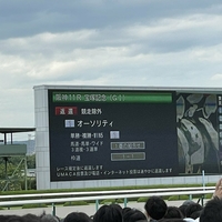 【悲報】宝塚記念、オーソリティが馬体検査のすえ出走取消!「オーソリティ発走除外!?なんで!?馬券買ったのに!」 【悲報】宝塚記念、オーソリティが馬体検査のすえ出走取消!「オーソリティ発走除外!?なんで!?馬券買ったのに!」