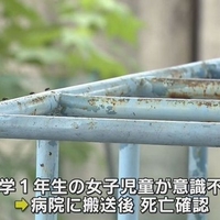 【事故】滋賀県大津市 児童公園で遊んでた女の子6歳がジャングルジム転落!意識不明のまま、病院に搬送されるも死亡!「子供の頃から思ってたけどジャングルジムって危なくね? 」 【事故】滋賀県大津市 児童公園で遊んでた女の子6歳がジャングルジム転落!意識不明のまま、病院に搬送されるも死亡!「子供の頃から思ってたけどジャングルジムって危なくね? 」