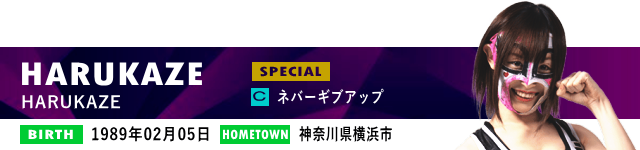 HARUKAZE