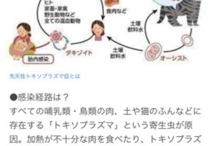 【悲報】妊婦が生肉を食べた結果、子供が先天性トキソプラズマ症になってしまうまとめのカテゴリ一覧まとめまとめについて関連サイト一覧