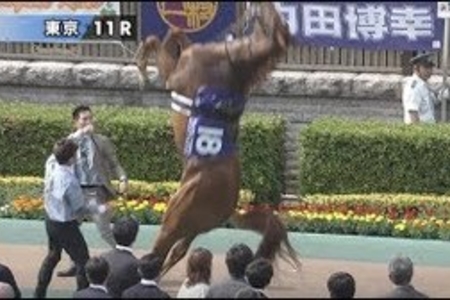 【競馬】NHKマイル ロックディスタウン パドックでバク転を披露 レースはしんがり負け(動画あり)まとめのカテゴリ一覧まとめまとめについて関連サイト一覧